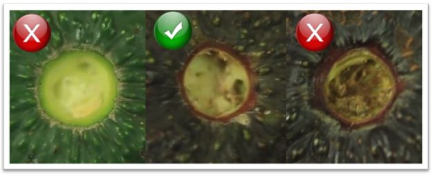 Astuce pour savoir comment bien choisir les avocats