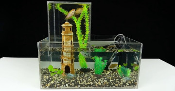 AQUARIOPHILES COMMENT FAIRE UN AQUARIUM A PLUSIEURS NIVEAUX