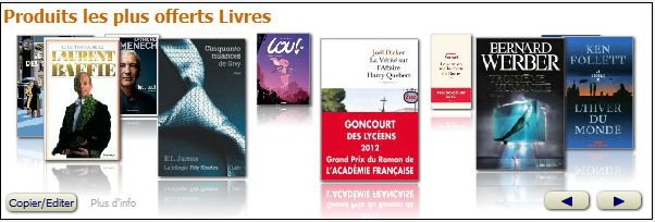 Ides de cadeaux livres ebooks romans bestseller prix goncourt